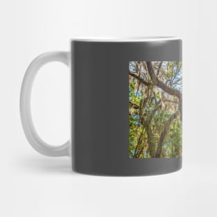 Cumberland Island National Seashore Mug